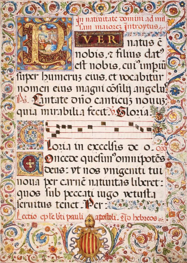 Puer Natus