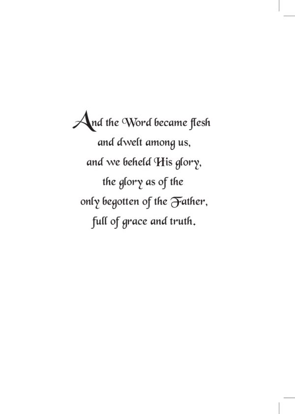Nativity - Image 2